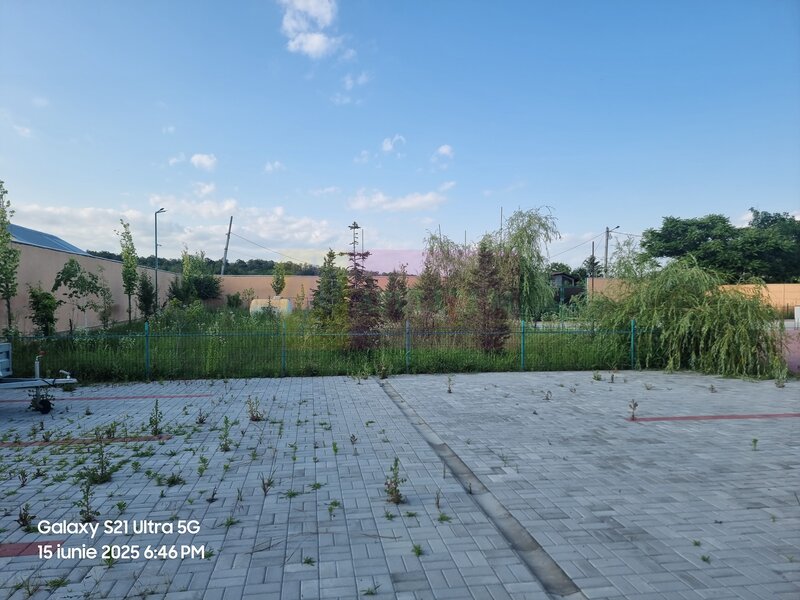 VANZARE CASA OASPETI + ANEXE IN  SAT TEISORI (JUD. GIURGIU)